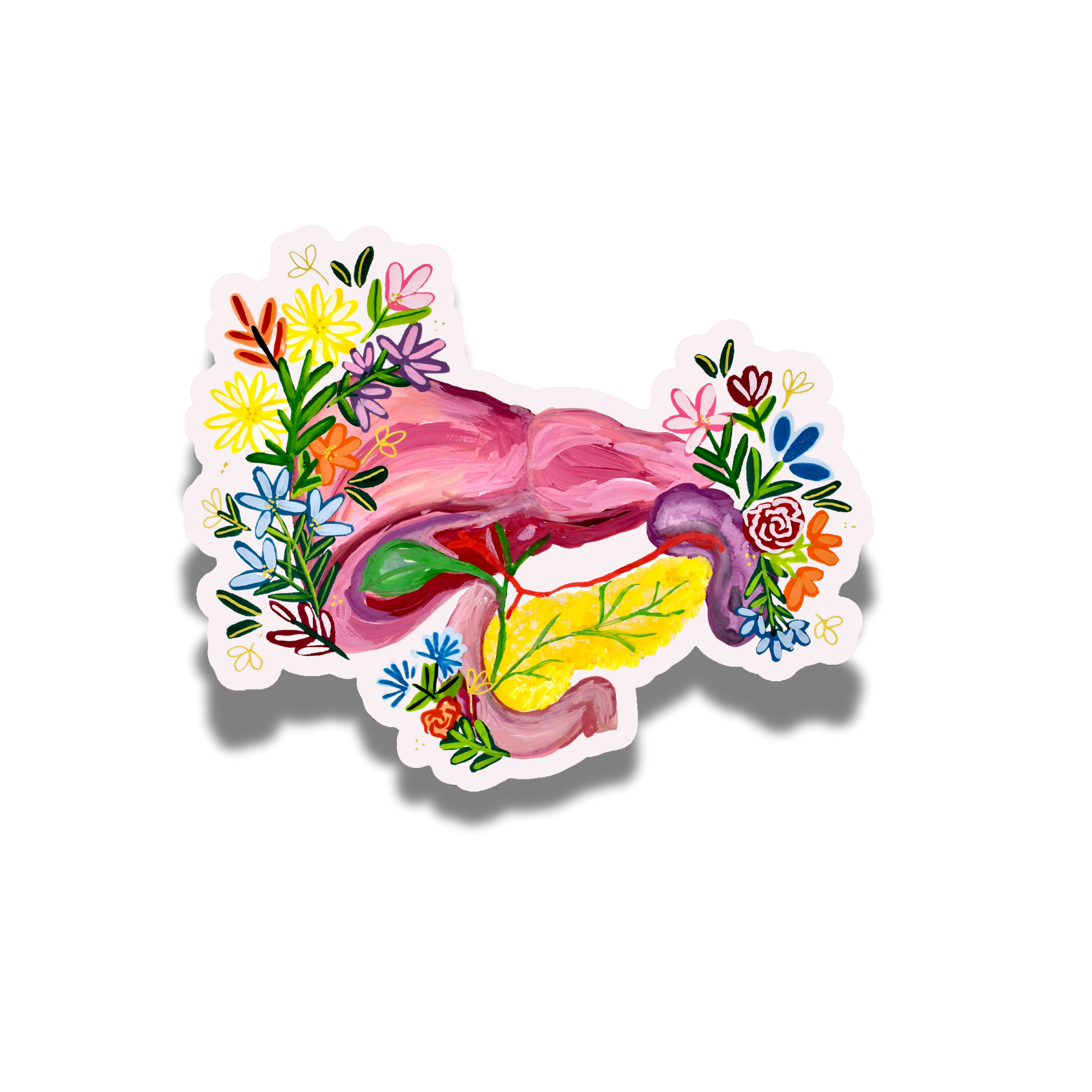 Pancreas and liver sticker