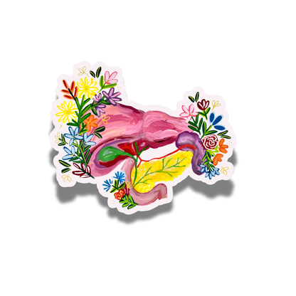 Pancreas and liver sticker