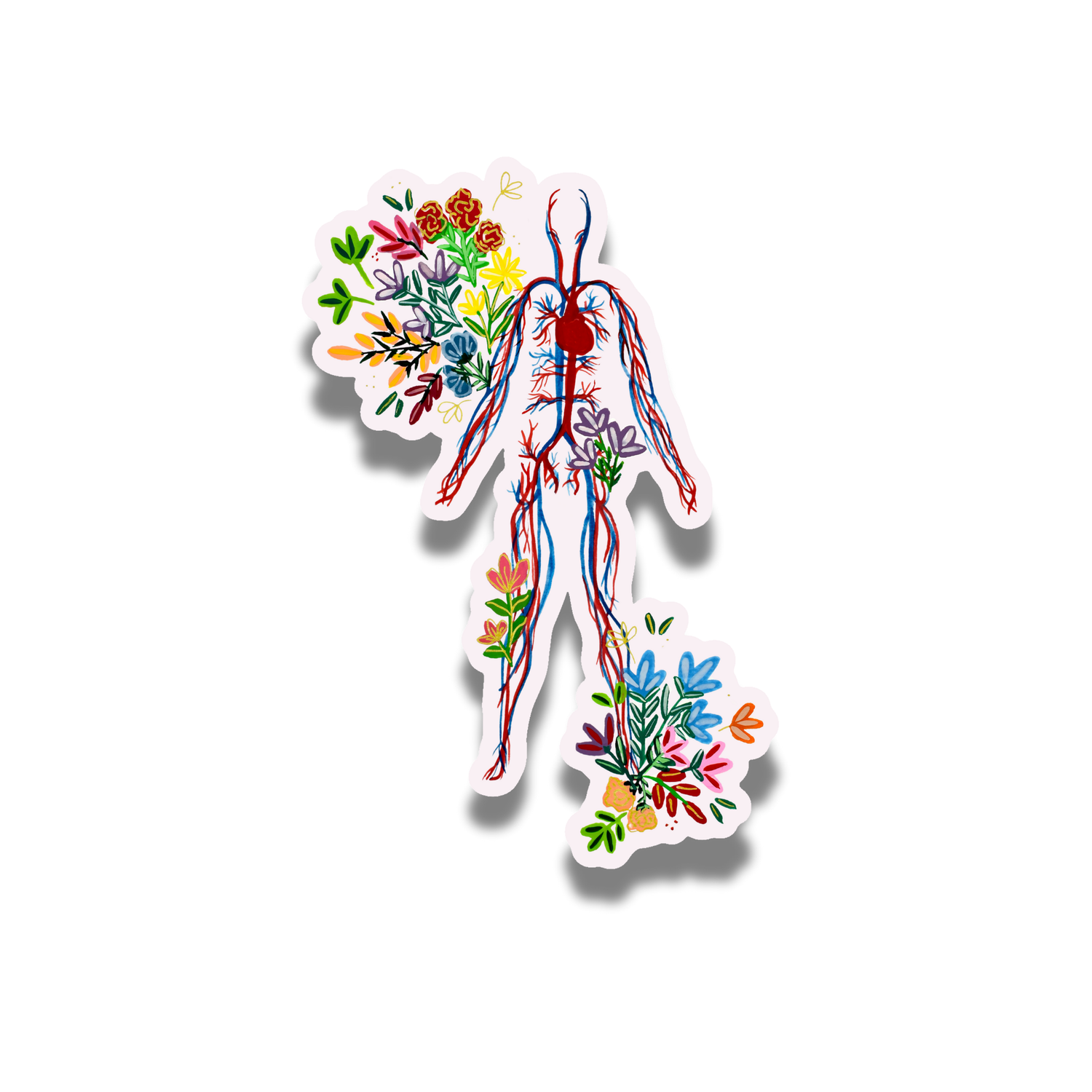 Circulatory System sticker