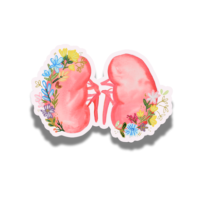 Kidney 2 Sticker