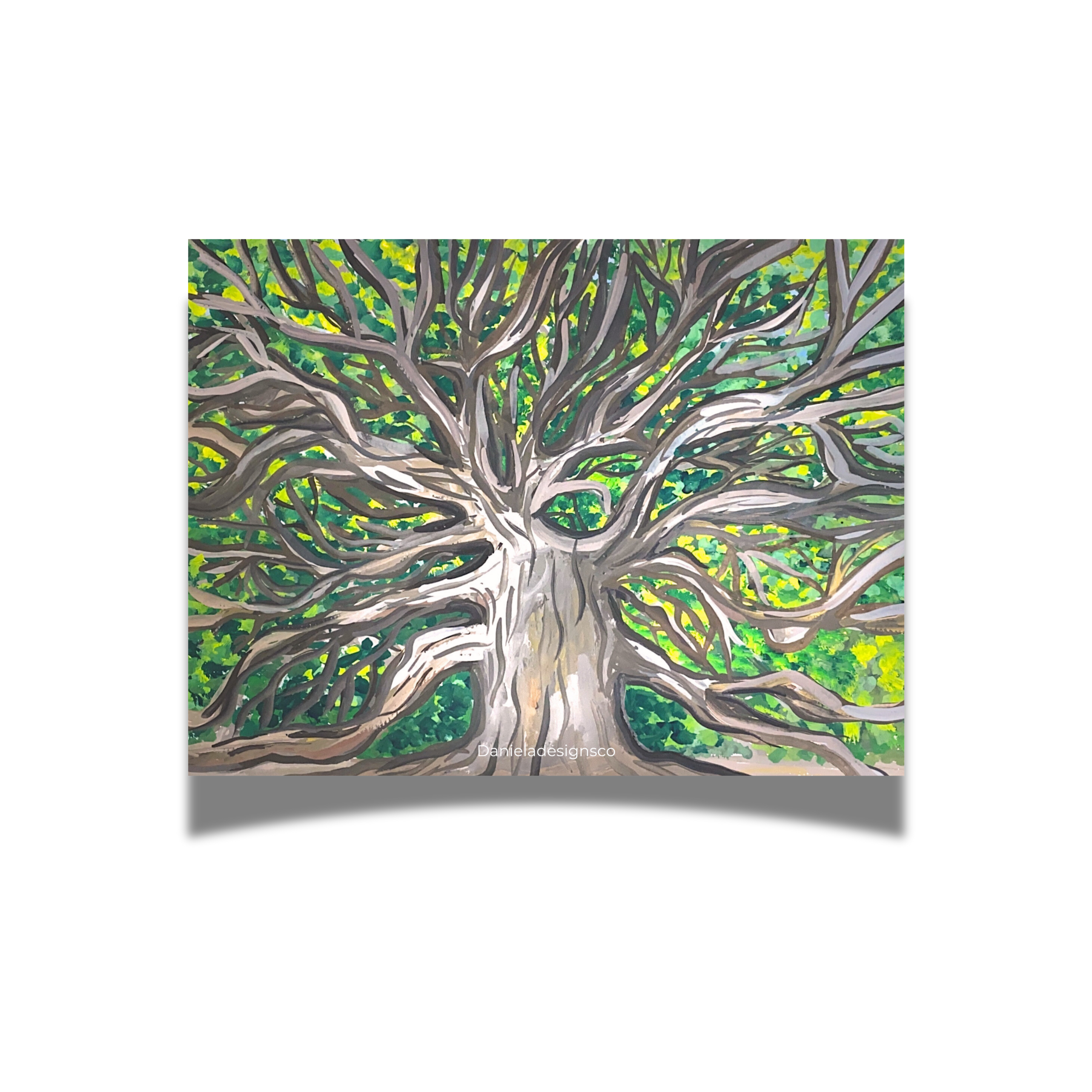 Angel Oak Tree Charleston Sticker