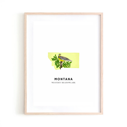 Montana State Bird art print