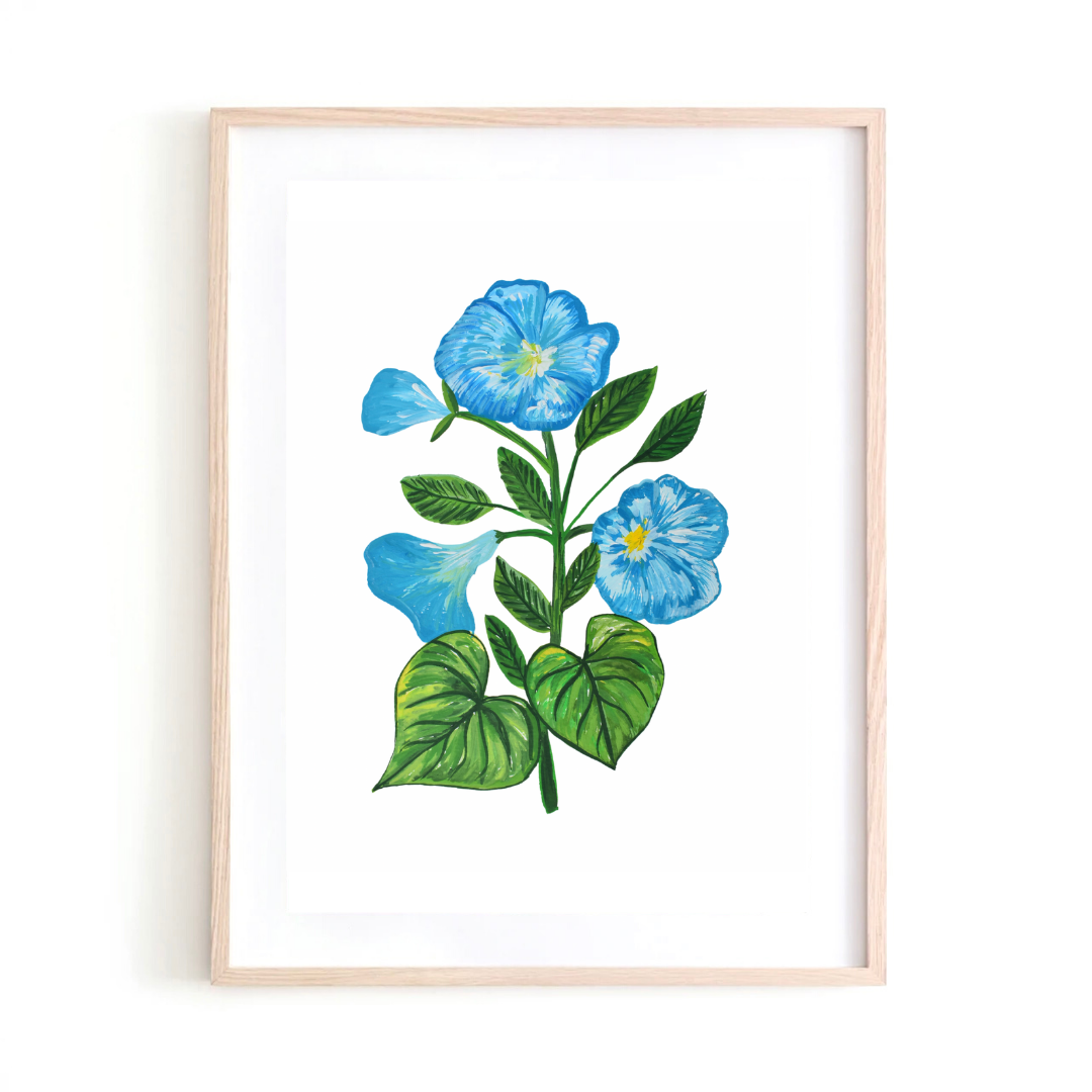 Morning Glory art print