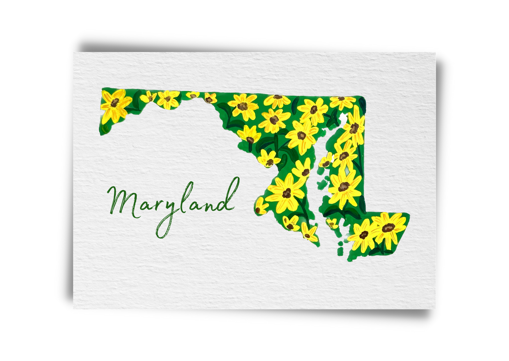 Maryland State Flowers Postcard