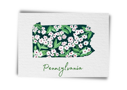 Pennsylvania State Flowers Postcard