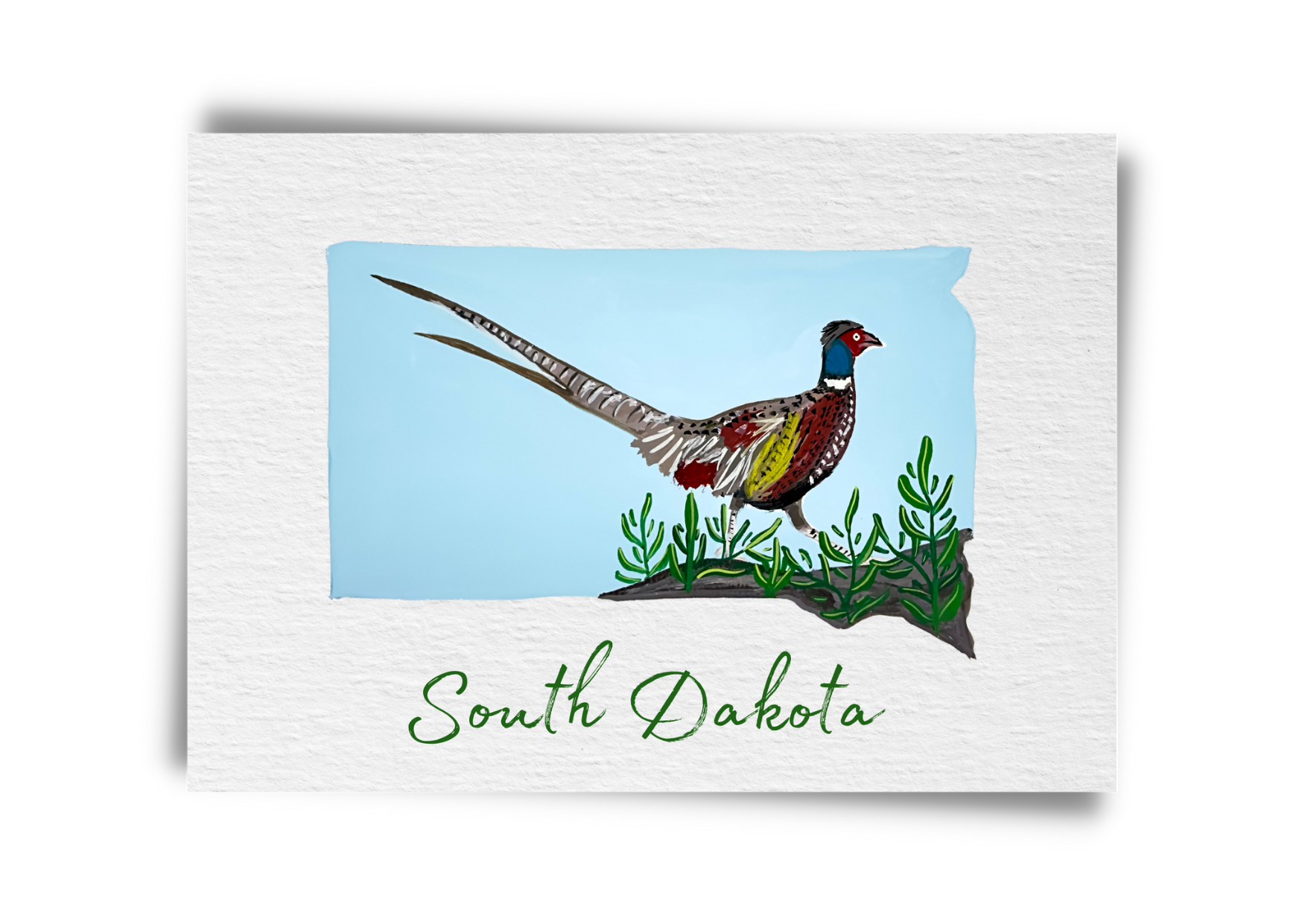 South Dakota State Birds Postcard