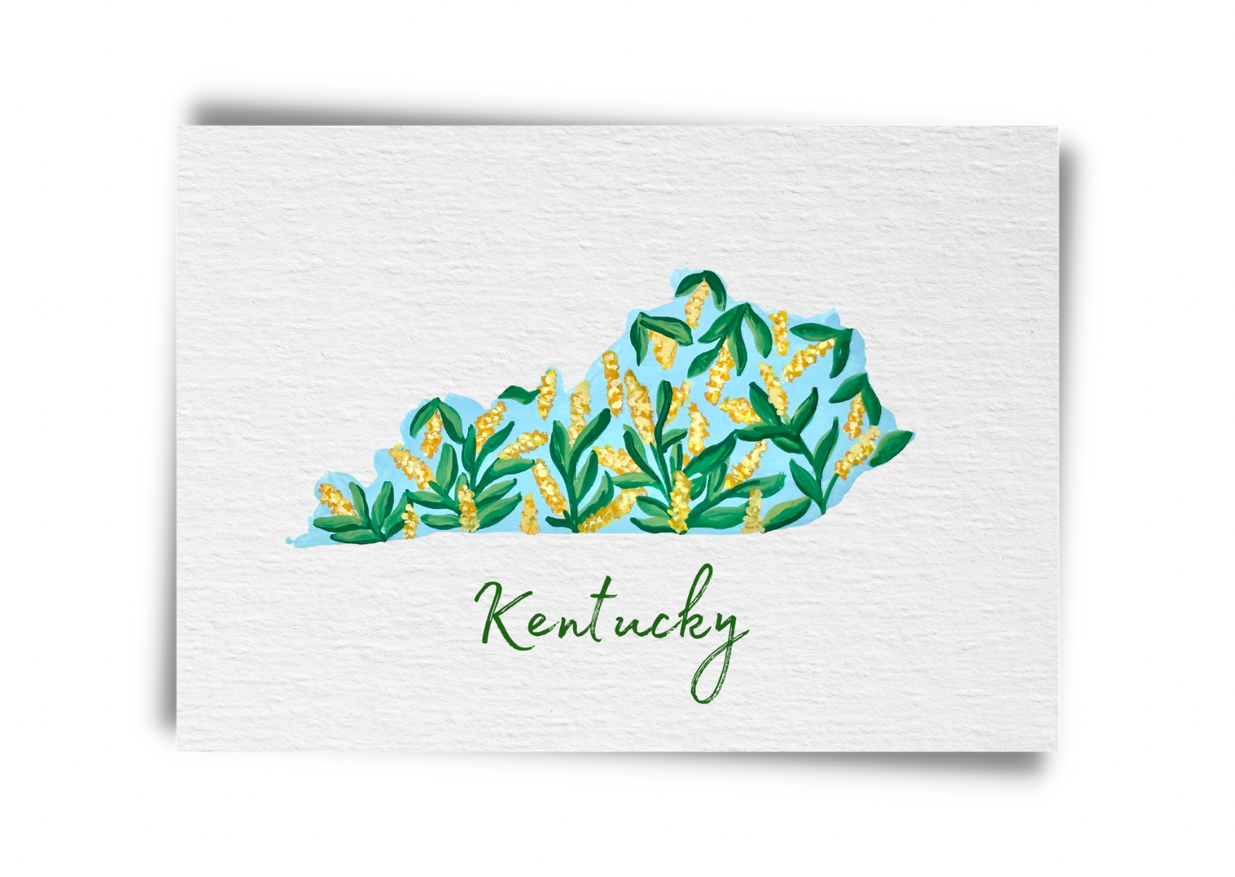 Kentucky State Flowers Postcard