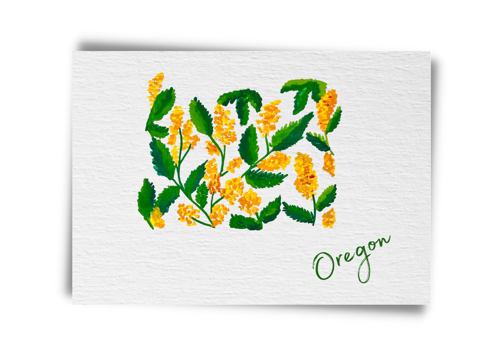 Oregon State Flowers Postcard