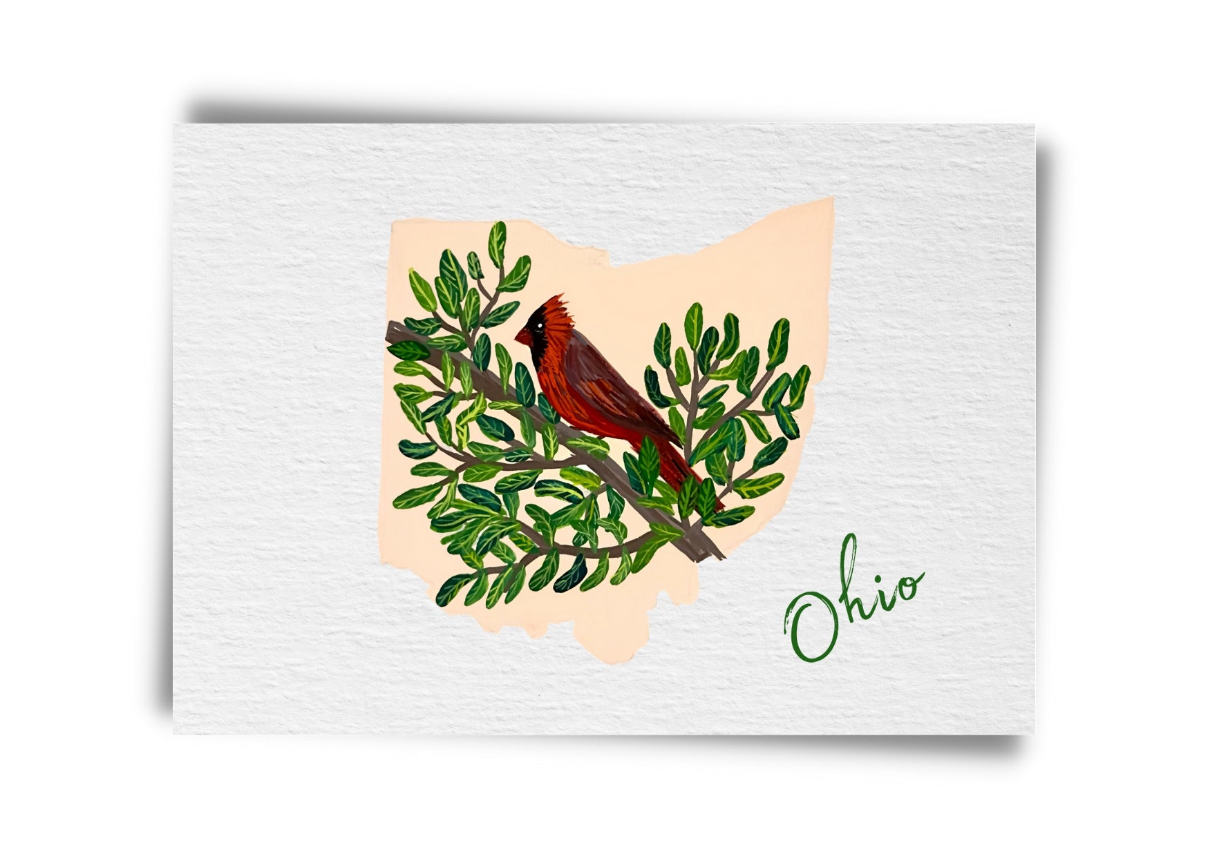 Ohio State Birds Postcard