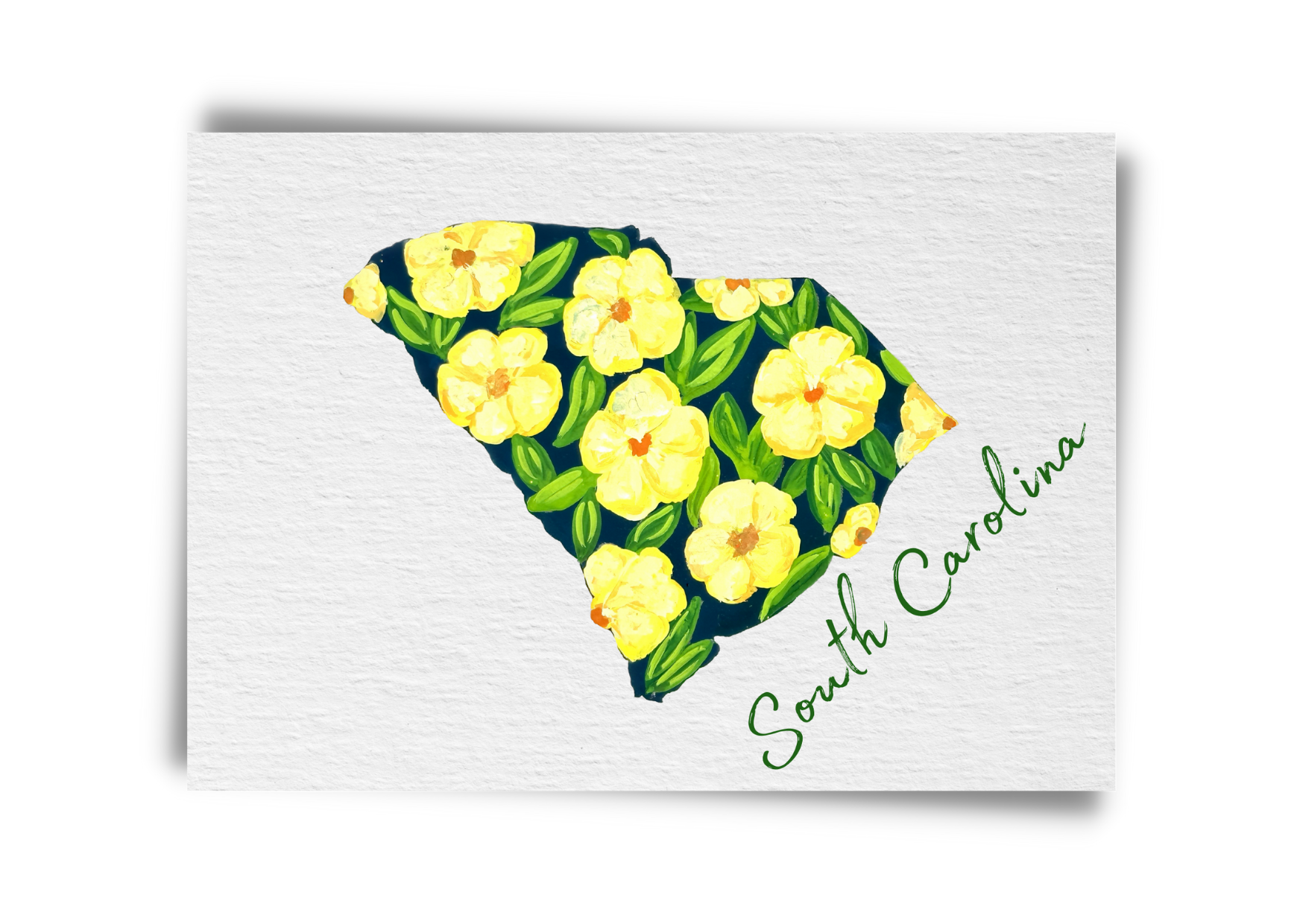 South Carolina State Flowers Postcard