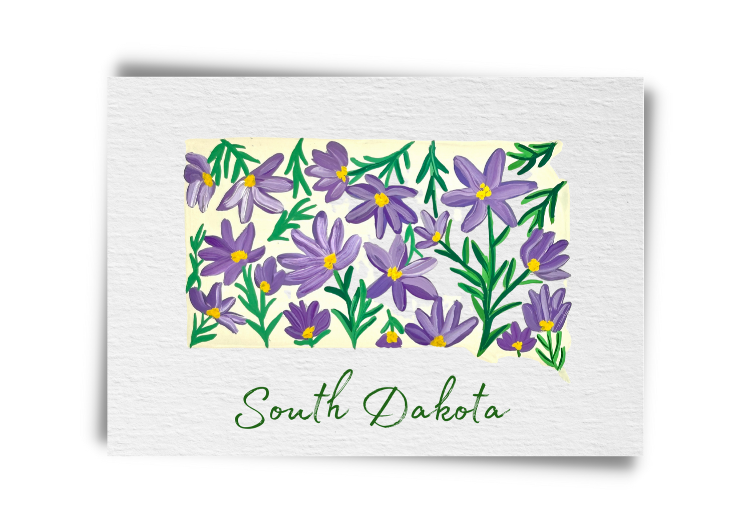 South Dakota State Flowers Postcard